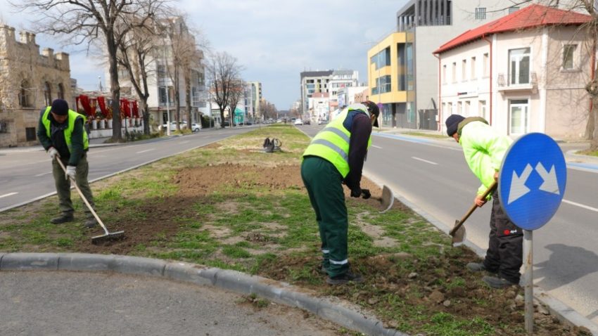 CONSTANȚA: Începe campania de plantare de primăvară în municipiu