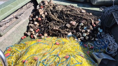 ARBDD: Peste 400 de carmace destinate capturării sturionilor, confiscate în urma unor controale