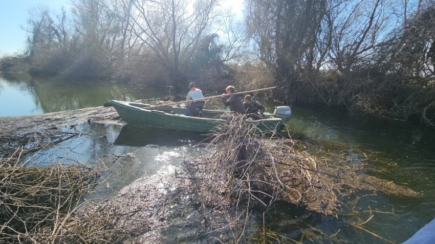 ARBDD a început lucrările de curățare a canalelor din Delta Dunării