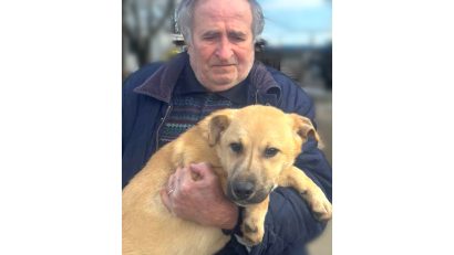 Adoptă un cățel | În Adăpostul Public de Animale Abandonate Constanța sunt peste 400 de câini care își caută o familie