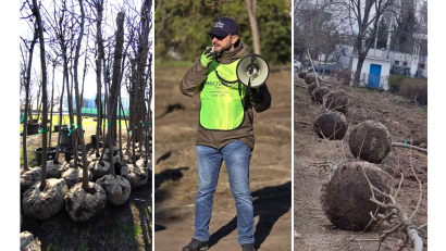 CONSTANȚA: 100 de arbori sunt plantați la Palatul Copiilor, într-o amplă acțiune organizată de Constanța Restart și Caravana Fericirii