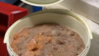VIDEO: O societate de prelucrare și depozitare produse piscicole din Constanța, închisă temporar de inspectorii CJPC