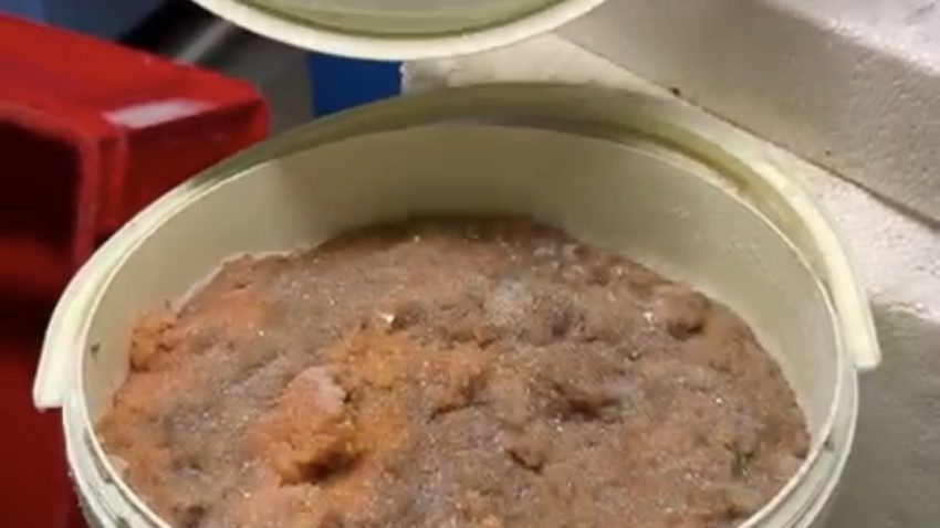 VIDEO: O societate de prelucrare și depozitare produse piscicole din Constanța, închisă temporar de inspectorii CJPC