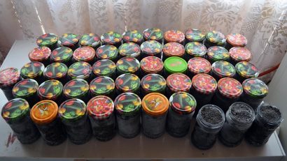 Județul IALOMIȚA: Icre negre, în valoare de aproximativ 150 de mii de lei, descoperite în urma unor percheziții domiciliare
