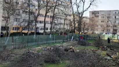 CONSTANȚA: În zona Abator a început tăierea copacilor în vederea amenajării unei parcări