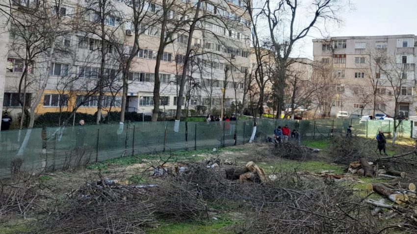 CONSTANȚA: În zona Abator a început tăierea copacilor în vederea amenajării unei parcări
