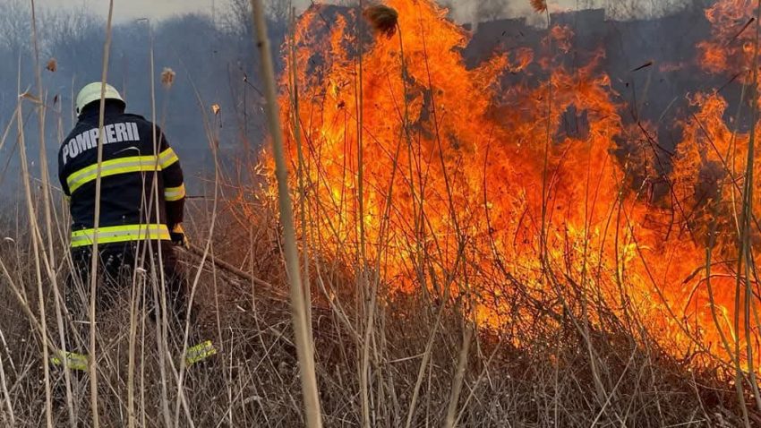 TULCEA: Numărul incendiilor de vegetație a scăzut considerabil în acest an, însă pericolul rămâne ridicat