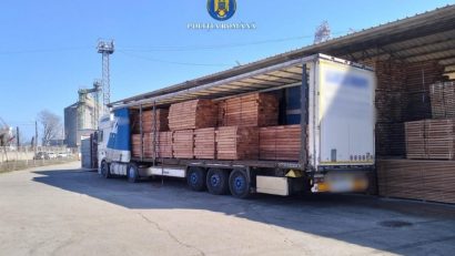 CONSTANȚA: Transport ilegal de cherestea, depistat în Port
