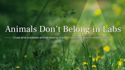 24 aprilie – Ziua mondială a protecției animalelor de laborator