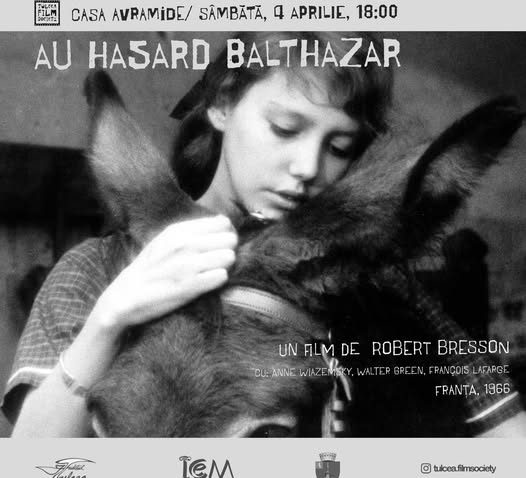 TULCEA: Proiecție de film la Casa Avramide