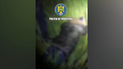 Opt persoane care intenționau să intre ilegal pe teritoriul țării, depistate de polițiștii de frontieră de la Negru Vodă
