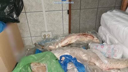 COSTINEȘTI: Două persoane au fost prinse de polițiști cu zeci de kilograme de calcan