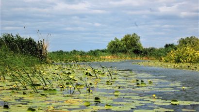 TULCEA: Gradul de rezervare în Deltă, de peste 70%. Evenimentul din Galați îi îngrijorează pe operatorii turistici