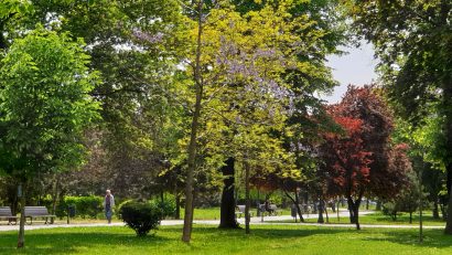 ANM: Alternanțe termice de la o zi alta și precipitații însemnate cantitativ, pe parcursul intervalului 20 aprilie – 3 mai