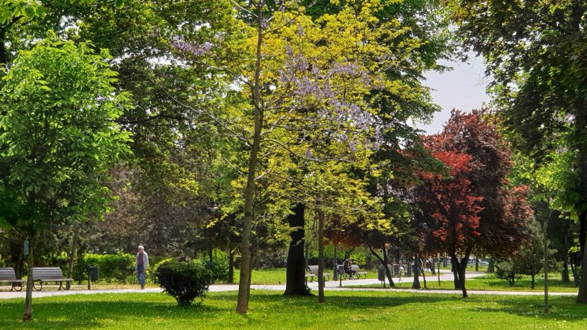 ANM: Alternanțe termice de la o zi alta și precipitații însemnate cantitativ, pe parcursul intervalului 20 aprilie – 3 mai