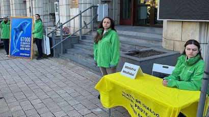 Activiştii Greepeace România protestează în faţa Ministerului Mediului