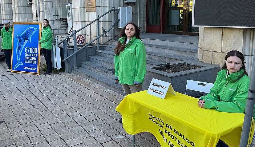 Activiştii Greepeace România protestează în faţa Ministerului Mediului