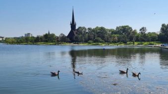 Vreme caldă, în Dobrogea și pe litoral