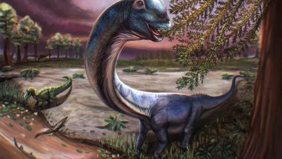 O nouă specie de dinozaur gigantic, identificată în Thailanda