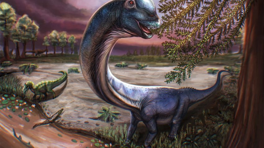 O nouă specie de dinozaur gigantic, identificată în Thailanda
