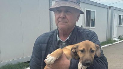 Adoptă un cățel | Bruna, o cățelușă de doar 3 luni de la Adăpostul public pentru animale abandonate Constanța, a plecat acasă