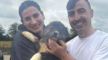 Adoptă un cățel | Un pui de doar 3 luni, de la Adăpostul public de animale abandonate Constanța, și-a găsit familia