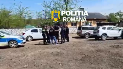 Județul CONSTANȚA: Proprietari de câini nemicrocipați, amendați