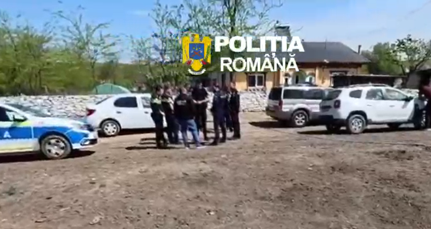 Județul CONSTANȚA: Proprietari de câini nemicrocipați, amendați