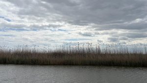 Vreme rece și instabilă, în Dobrogea și pe litoral