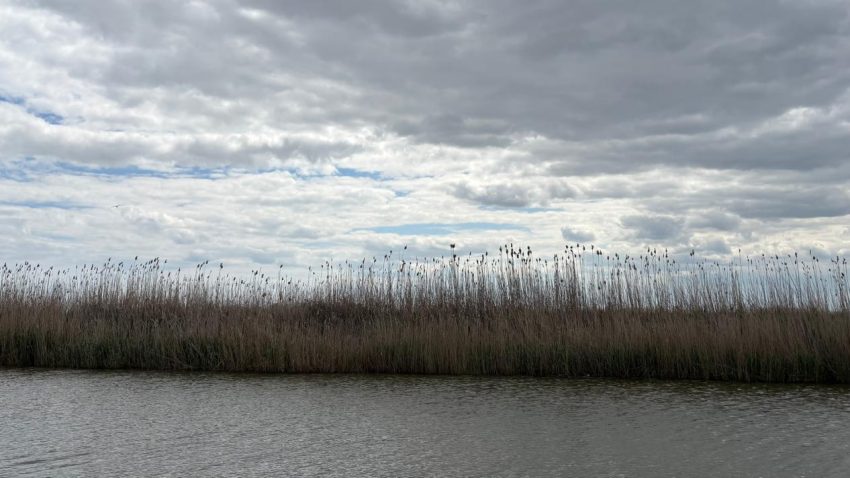 Vreme rece și instabilă, în Dobrogea și pe litoral