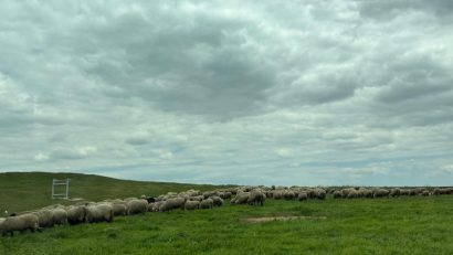 Vremea va fi caldă, dar instabilă în Dobrogea
