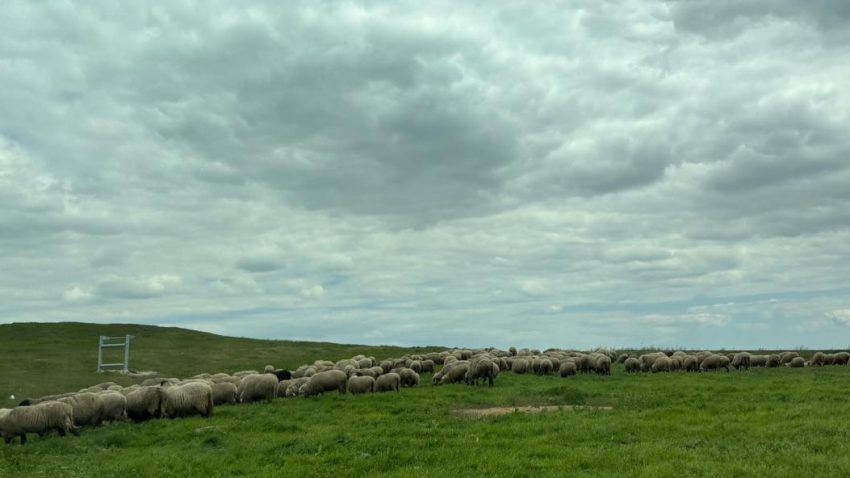 Vremea va fi caldă, dar instabilă în Dobrogea