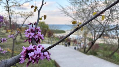Vremea va fi frumoasă, în Dobrogea și pe litoral