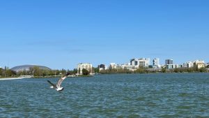 Cresc temperaturile în Dobrogea și pe litoral