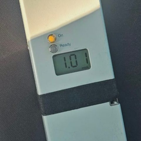 Județul TULCEA: Un accident rutier, produs de o femeie care consumase alcool, a avut loc în apropiere de localitatea Agighiol
