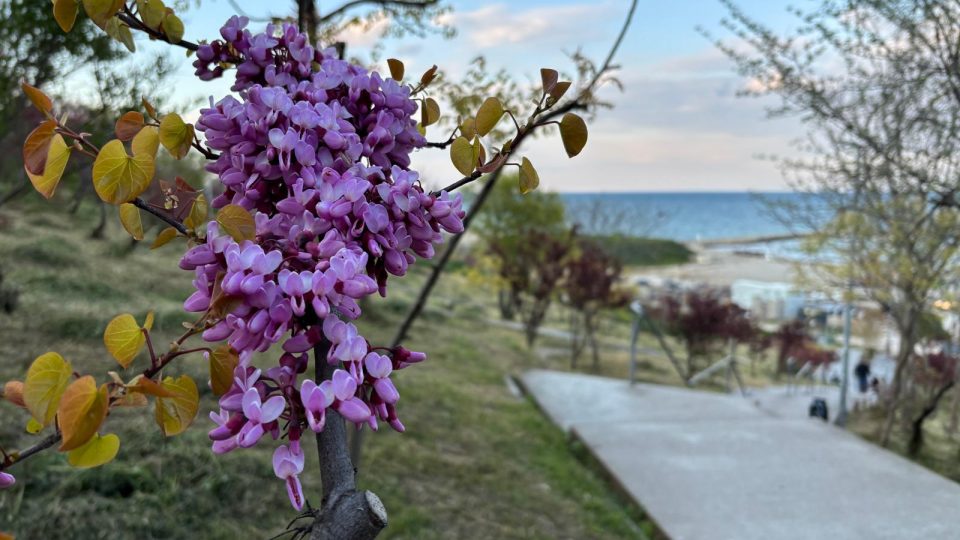 Vremea va fi caldă, în Dobrogea, cu o maximă termică de 33 de grade Celsius