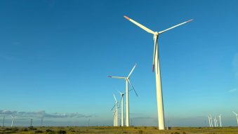 TULCEA: Sistem cu AI pentru protejarea păsărilor în zona parcurilor eoliene