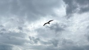 Vremea va fi instabilă, în Dobrogea