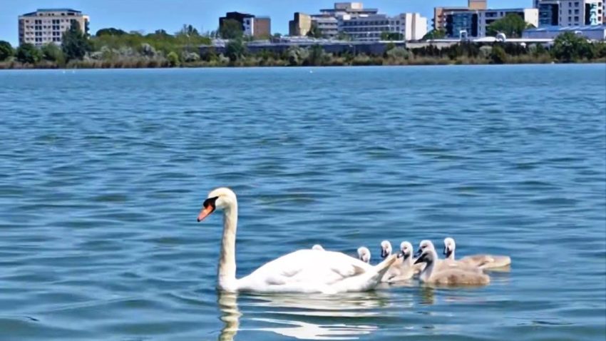 Vreme caldă, marți, în Dobrogea, cu 29 de grade Celsius în aer