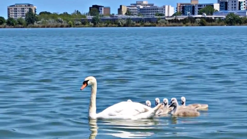 Vreme deosebit de caldă, în Dobrogea, cu o maximă termică de 36 de grade Celsius