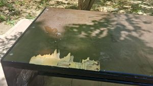 CONSTANȚA: Mobilier urban vandalizat. Zona este monitorizată video