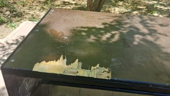 CONSTANȚA: Mobilier urban vandalizat. Zona este monitorizată video