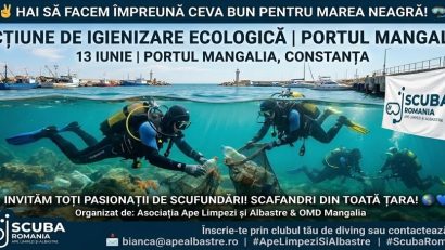 Acțiune de igienizare ecologică a Portului Mangalia