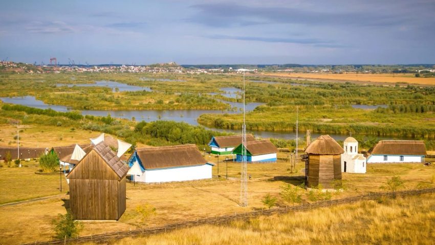 TULCEA: Tururi ghidate și sesiuni de birdwatching organizate de SOR la Festivalul „Scrumbii de Rusalii”