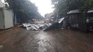 FOTO: Vijelie în TULCEA! Arbori doborâți și acoperișuri smulse în municipiu