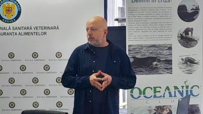 CONSTANȚA: Campanie intensivă de monitorizare a delfinilor eșuați pe litoralul românesc, lansată de Oceanic Club