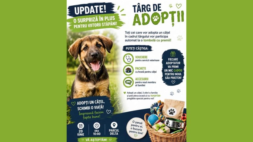 TULCEA: Târg de adopții în Parcul Delta