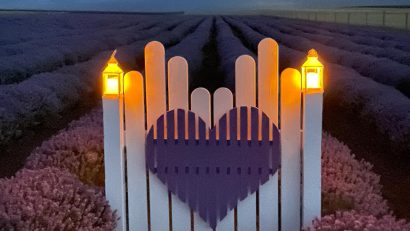 Dobrogea se colorează din nou în nuanțe de mov – „Violet Dreams Lavender” – Ediția a V-a