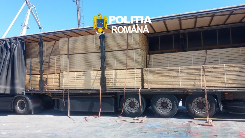 CONSTANȚA: Cherestea fără documente de proveniență, descoperită de polițiști în port