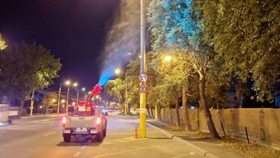 CONSTANȚA: Acțiuni de dezinsecție în toate cartierele municipiului